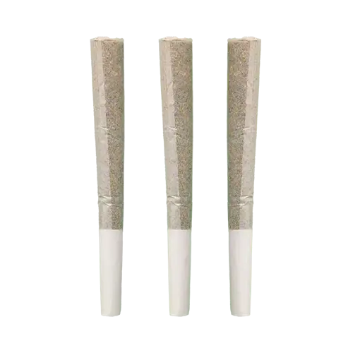 pre-rolls
